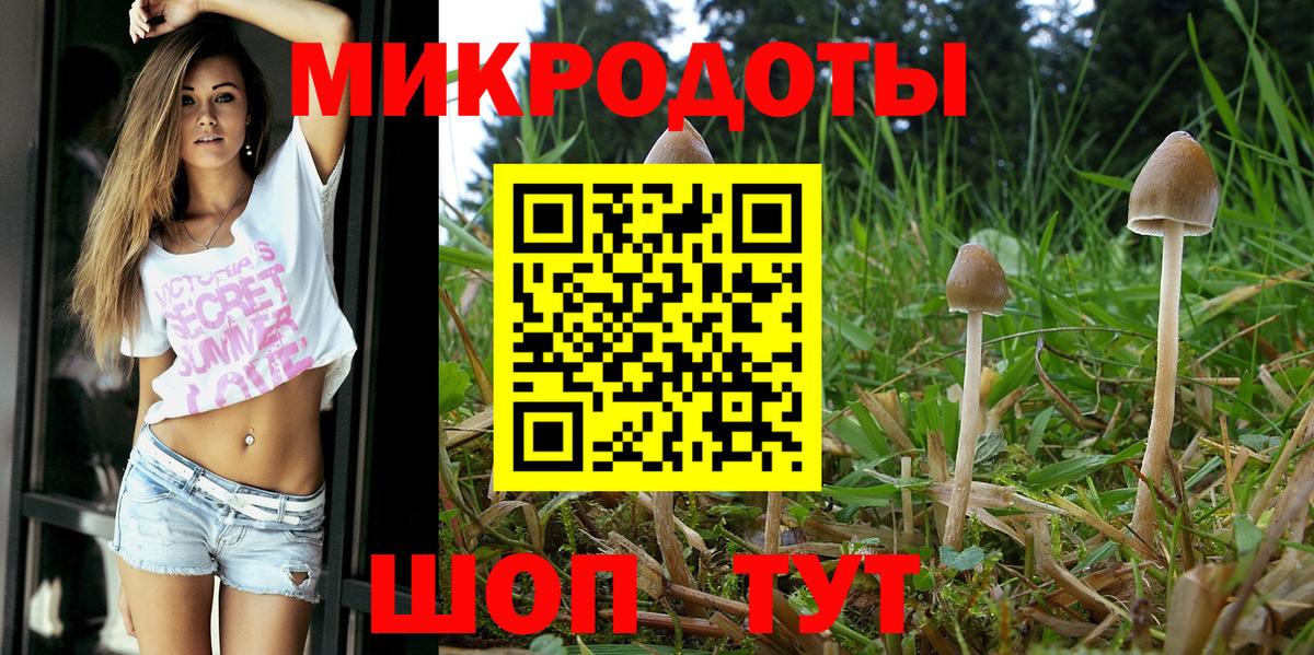 Псилоцибиновые грибы GOLDEN TEACHER  Вход с VPN  Хабаровск 