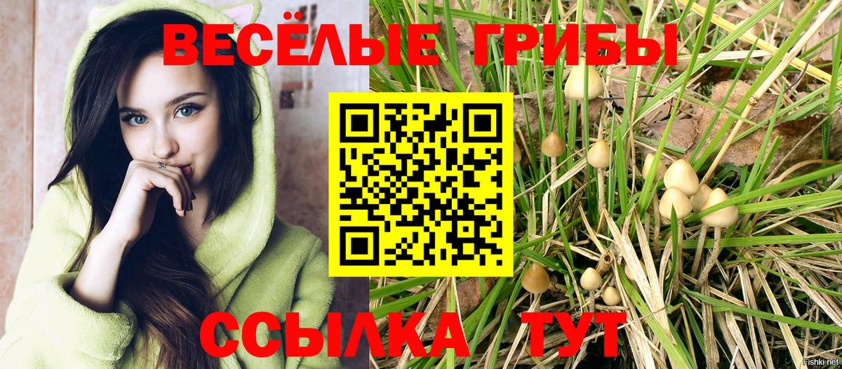 Псилоцибиновые грибы мухоморы Хабаровск